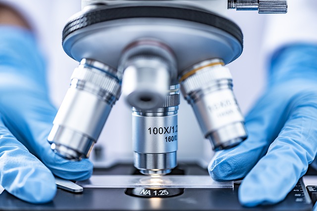 Всемирная конференция in vitro